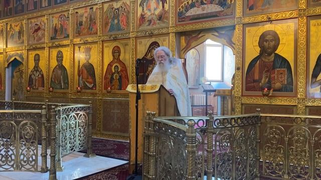 Он взял на Себя наши немощи и понес наши болезни.. Проповедь на Евангельский отрывок Мф.8:14–23 смотреть онлайн