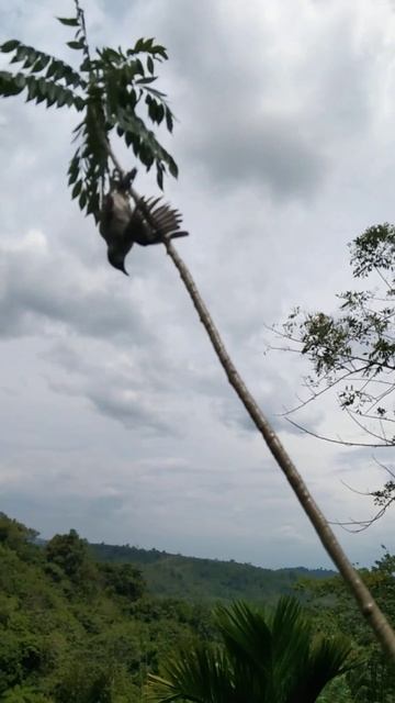 6 Oktober 2022 смотреть онлайн