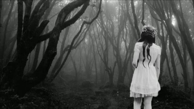 Hoia Baciu: So finster der Wald - so seltsam die Ereignisse. смотреть онлайн