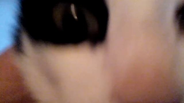 Видео кторое должно было выйти довно!(40) смотреть онлайн