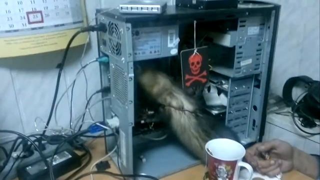Харек айтишник смотреть онлайн