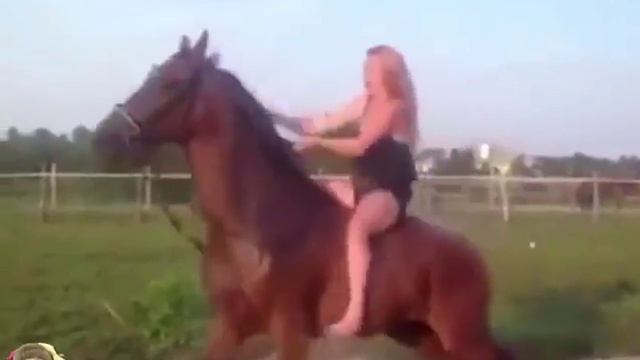 Лента новостей смотреть онлайн