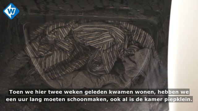 'Eén grote puinzooi' in Polenhotel Boskoop: 'Ik ben me rot geschrokken' - OMROEP WEST смотреть онлайн