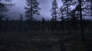 Путешествие в горы Якутии. Часть 1. В шаге от Колымской трассы.