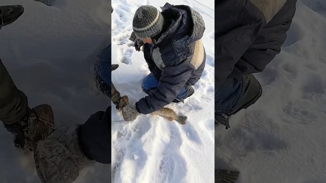 Щука шокировала нас смотреть онлайн