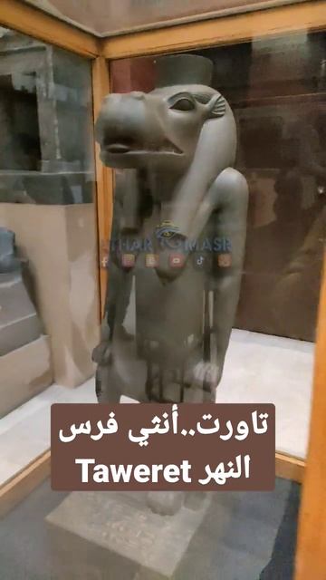تاورت أنثي فرس النهر Taweret #egypt #experienceegypt #heritage смотреть онлайн