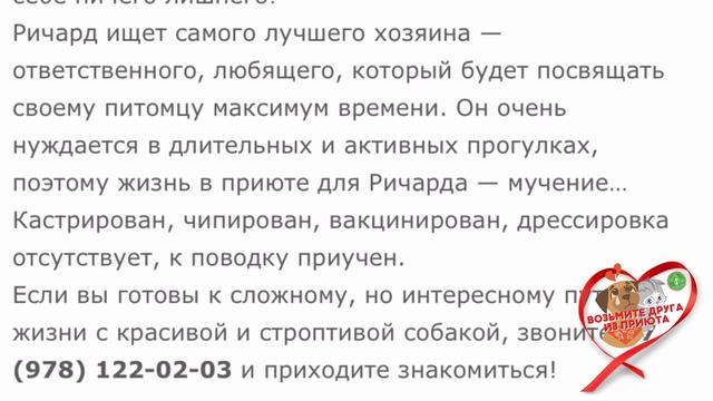 Ричард смотреть онлайн