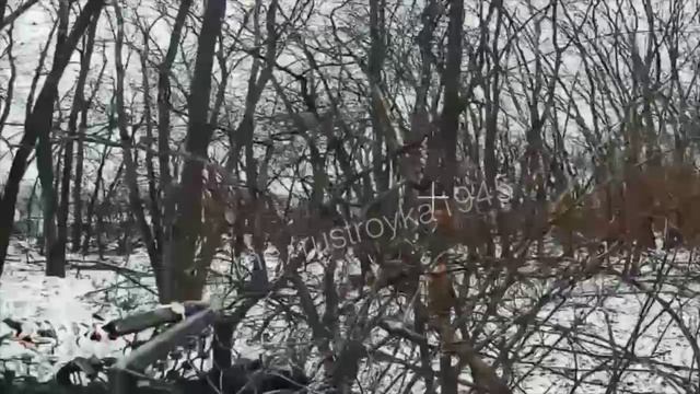 Разведчики 155 ОГвБрМП ТОФ под Курском уничтожают противника