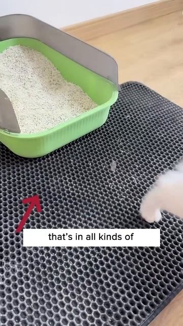 Magical Litter Trick 🙀✨ смотреть онлайн