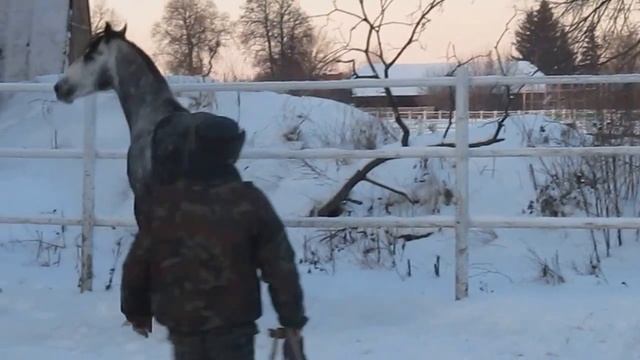 Олешек 2 смотреть онлайн