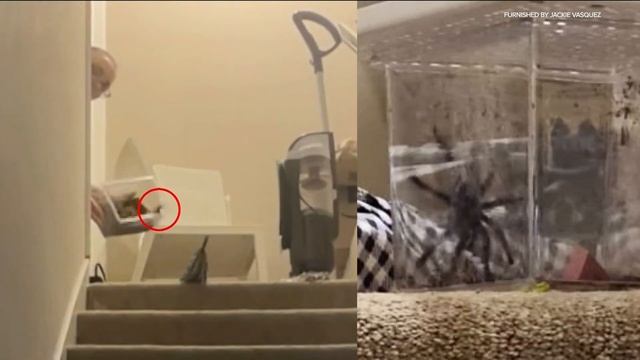 Hennepin County Board candidate had real estate license revoked for 'fraudulent practices' смотреть онлайн