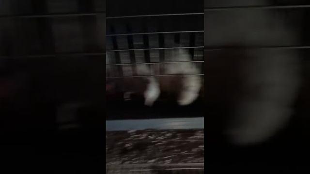 О перепелках!!! смотреть онлайн