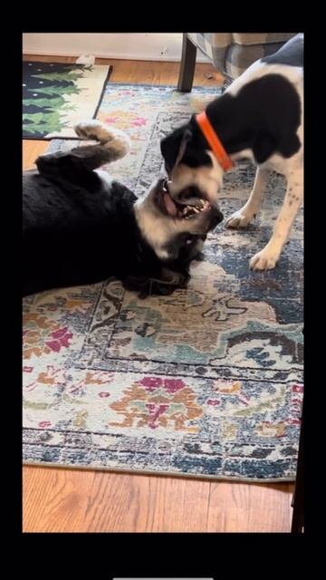 pov: u open my camera app 📷 смотреть онлайн