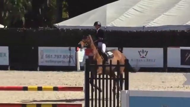 #19: 2022 J. Gibbs/Delia B: Low Junior Jumper Classic (1.25m) | WEF 2022 смотреть онлайн