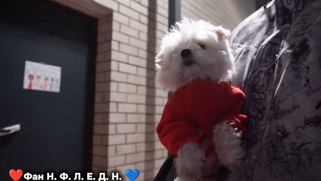 Спрунке в реальной жизни (ляпота тв перезалив) смотреть онлайн