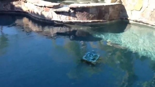 iRobot Mirra 530 2www iRobot msk ru