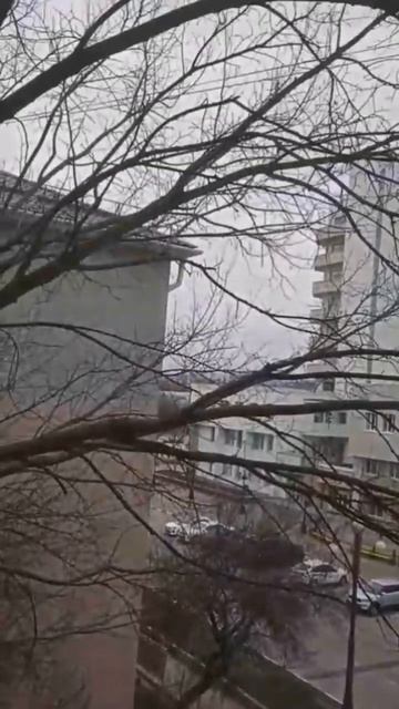 29 мая 2024 г. смотреть онлайн