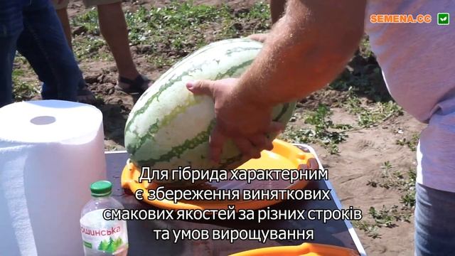 Відкрили таємницю! Суперсмачний Тамтам F1 на дні поля смотреть онлайн