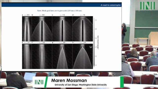 Prof. Maren Mossman | Probing matter waves with a dilute-gas Bose-Einstein condensate смотреть онлайн