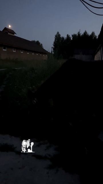 Жара, молодым тяжело, а стареньким так подавно. #horse #лошади смотреть онлайн