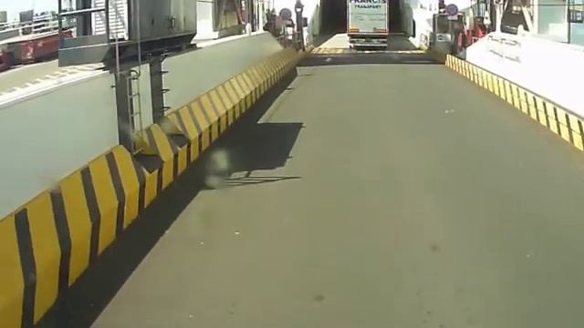 Calais-Dover kamionnal смотреть онлайн