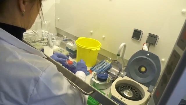 Qanorooq 10.06.2022 смотреть онлайн