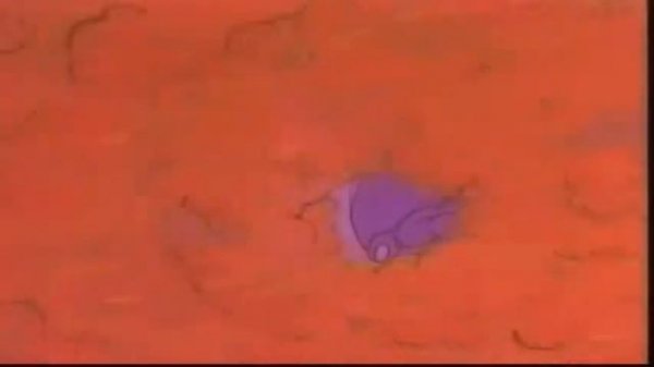 Episode 12 Dodo And The Mole