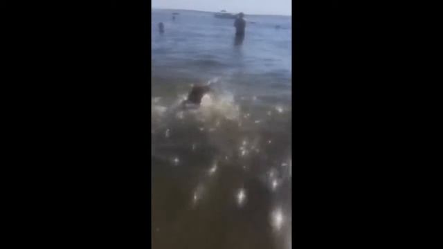 Дафни смотреть онлайн