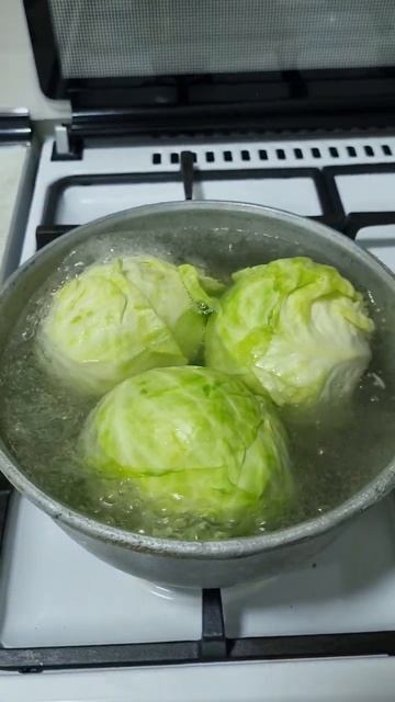 Cabbage 🥬🥗 Капуста смотреть онлайн
