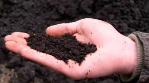 АНАЛИЗ ПОЧВЫ НА УЧАСТКЕ. КАКИЕ БЫВАЮТ ТИПЫ ГРУНТА