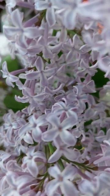 🥰🥰🥰😍😍😍