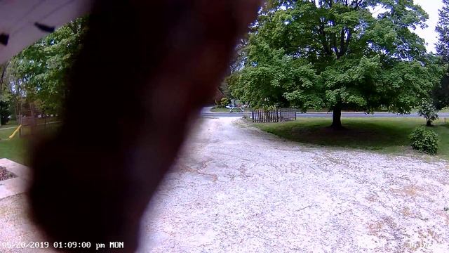 Big Butterfly смотреть онлайн