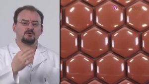 Доктор Голод  Иммунитет