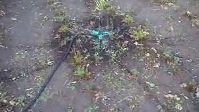 MOV09169 смотреть онлайн