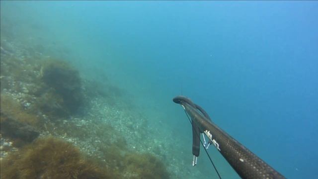 Pescasub 🐟:Uno Stormo di BARRACUDA смотреть онлайн