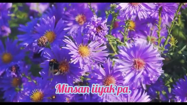 "Araw-Araw" Minus-one with Lyrics /Musical Accompaniment / Seventh-day Adventist Favorite Music смотреть онлайн