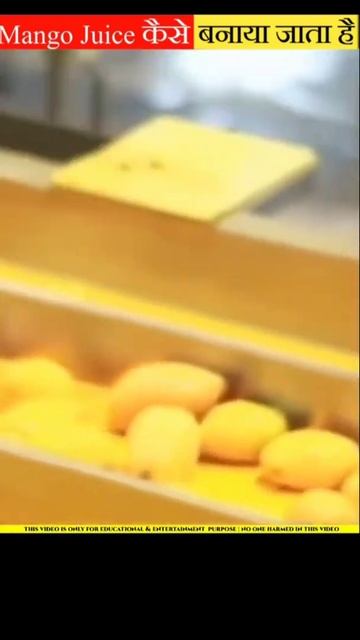 How To Make Mango Juice In Factory 🤔 /Frooti Kaise Banti Hai/ #shorts #short #youtubeshorts смотреть онлайн