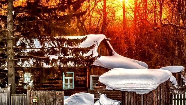 Бандиты напали на деда в лесу, не подозревая что он был не один. ШОКИРУЮЩЕЕ ВИДЕО! смотреть онлайн
