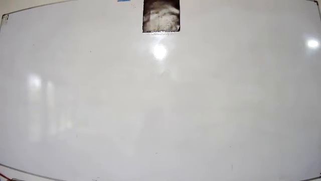 grade 10 em 2021 2 16 part i смотреть онлайн