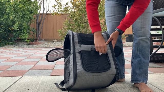 Apollo Walker Carrier For Small Dogs And Cats: A Look At Miku's Favorite Hiking Ride