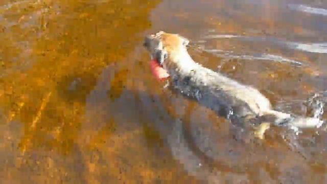 Hux Flux Karolina Korall - Lina смотреть онлайн