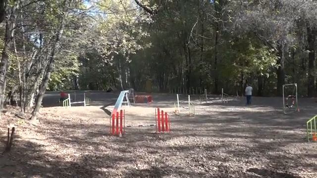 зверобой смотреть онлайн