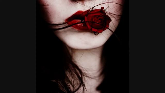 The Maple Room - Bulletproof Near You