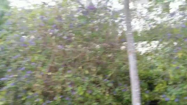 Sony Xperia 10 Plus, Prueba De Vídeo (frontal)