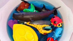 Развавашки для детей! Коллекция игрушек «Зоопарк диких животных» - Лучшие обучающие видео для детей