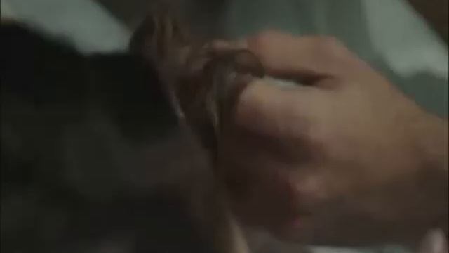 Kamran♥Feride || عمرو دياب .... ورضيت || Çalıkuşu