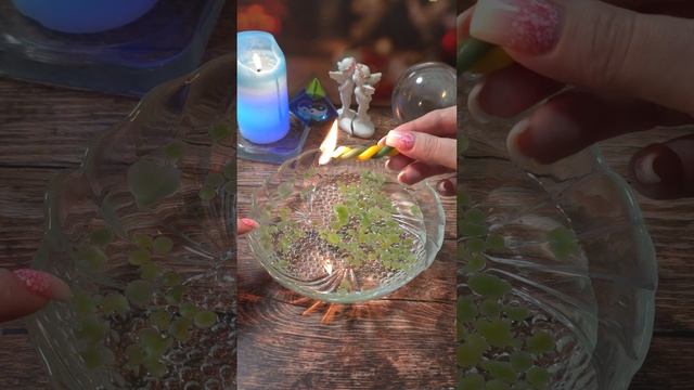 Что на твоём пороге? 💯🔮🎁 смотреть онлайн