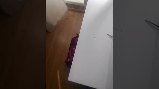 + в семье смотреть онлайн