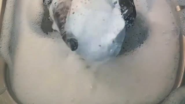 Black-ish Sponges 🖤 - ASMR Sponge Addiction