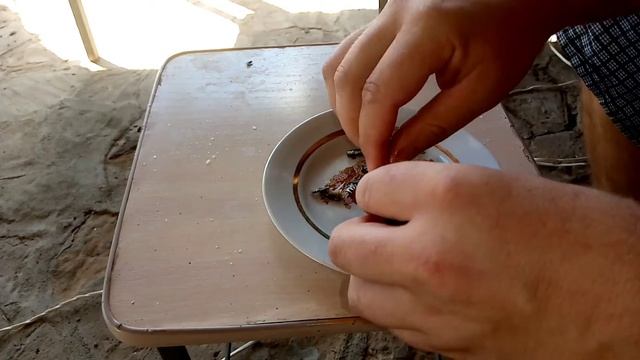 Пожарил и съел карася.